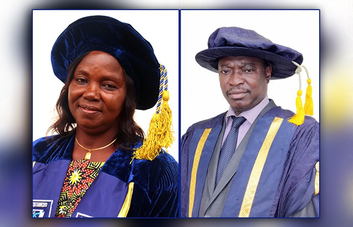 ful-promotes-university-librarian-to-the-rank-of-associate-professor-former-librarian-to-full-professor
